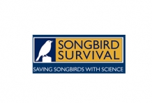 Songbird Survival