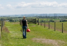 Well maintained paddocks for year round turnout