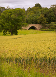 Charterhall - Agriculture