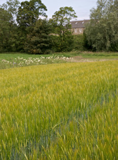 Rural office space near Edinburgh