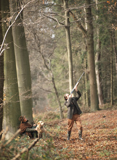 Game shooting Scottish borders