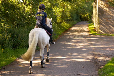 Livery off road hacking Edinburgh