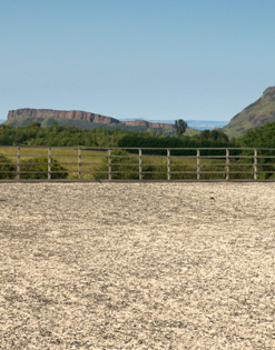 Livery all weather arena Edinburgh