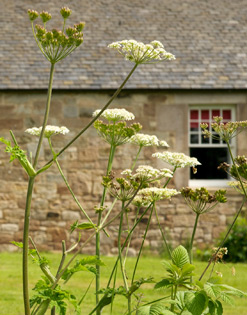 Office Space Edinburgh