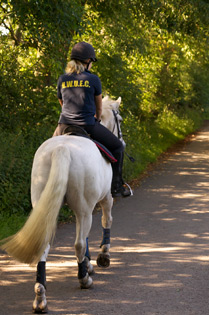 Livery near Edinburgh